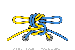 Double Shoelace Knot diagram 4
