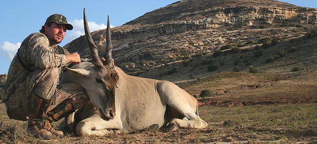 An eland hunted in the Free State.