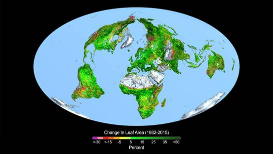 globe of Earth from North Pole perspective