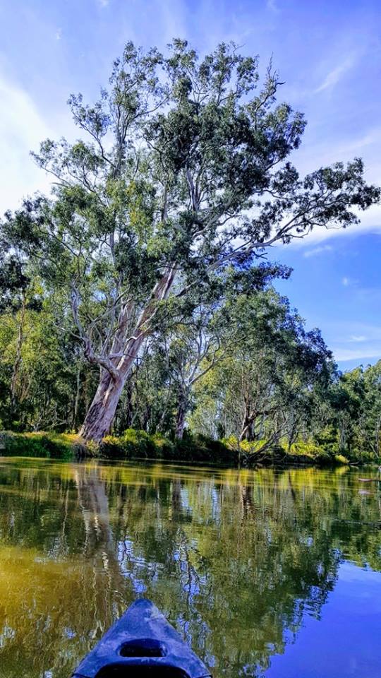 Image may contain: tree, sky, cloud, outdoor, nature and water