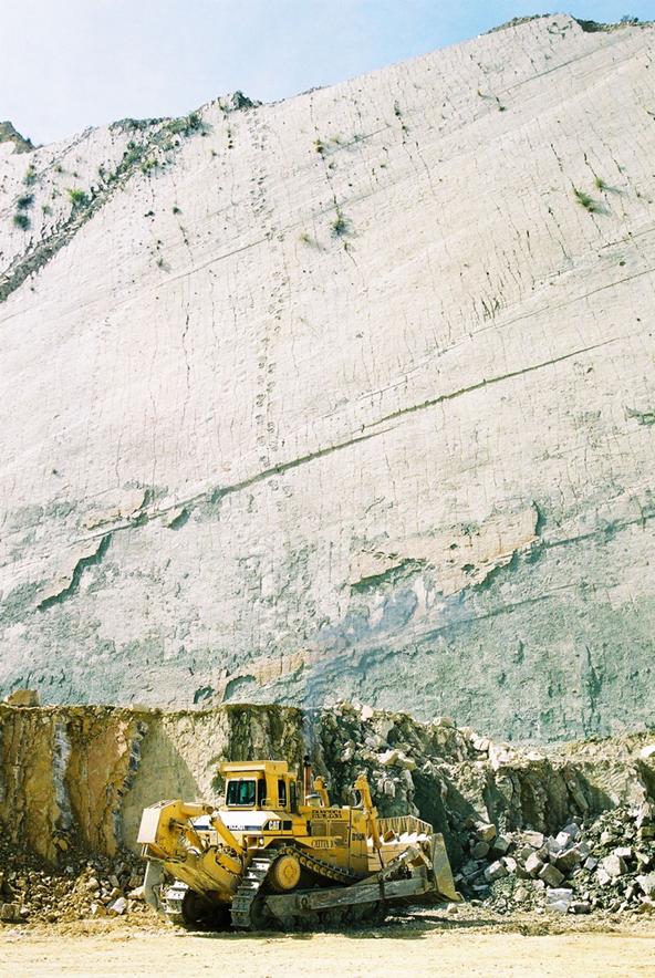 cal orko wall of dinosaur footprints sucre bolivia (1)