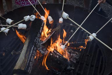 Toasting marshmallows - Diane Macdonald/ Photographer's Choice/ Getty images